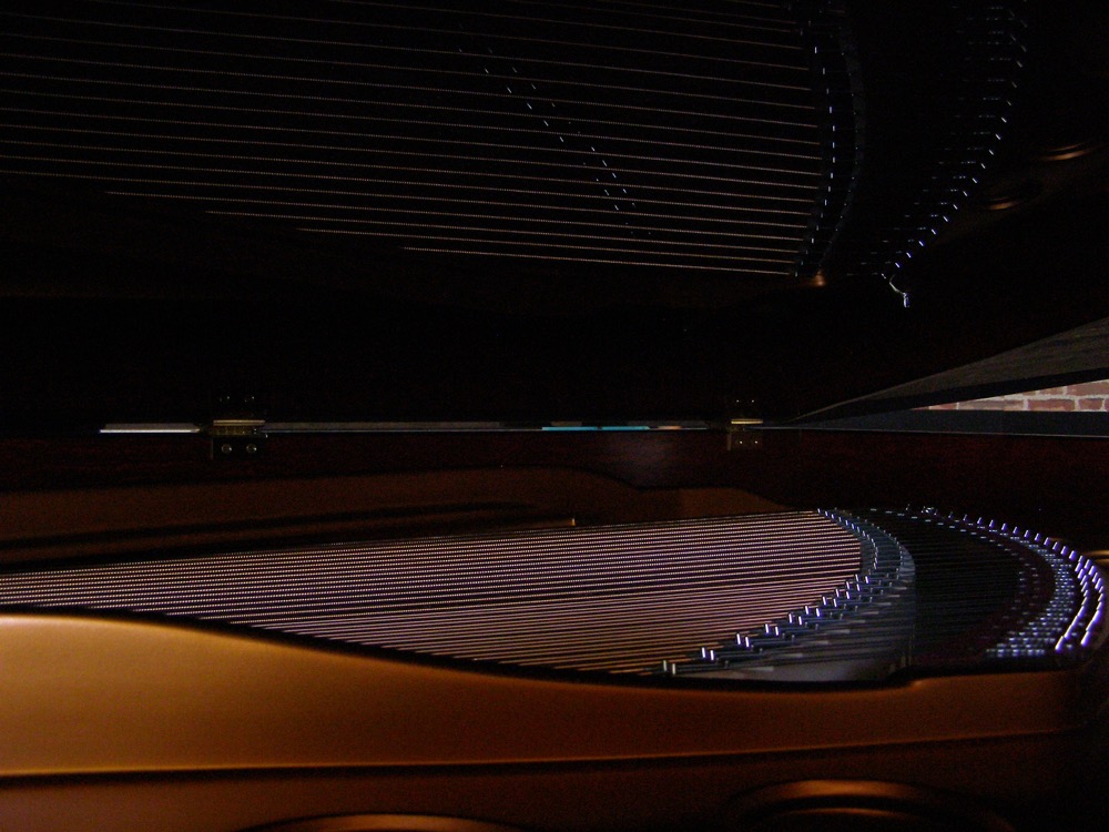Gallery image 12